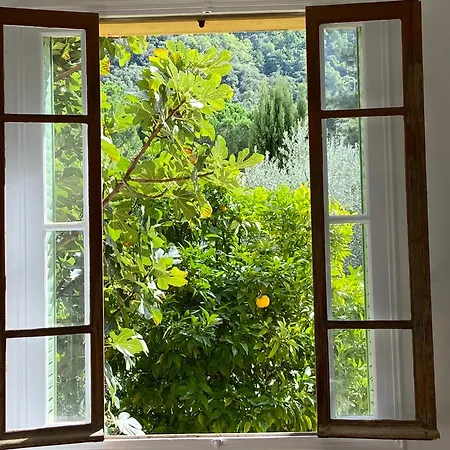 Holiday home L'oranger *