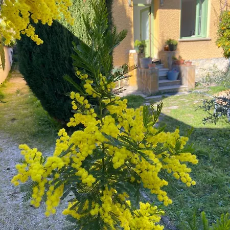 L'oranger Hébergement de vacances