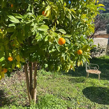 Hébergement de vacances L'oranger